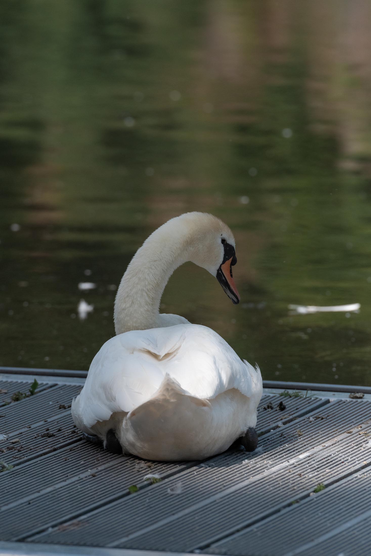 Hengsteysee Hagen