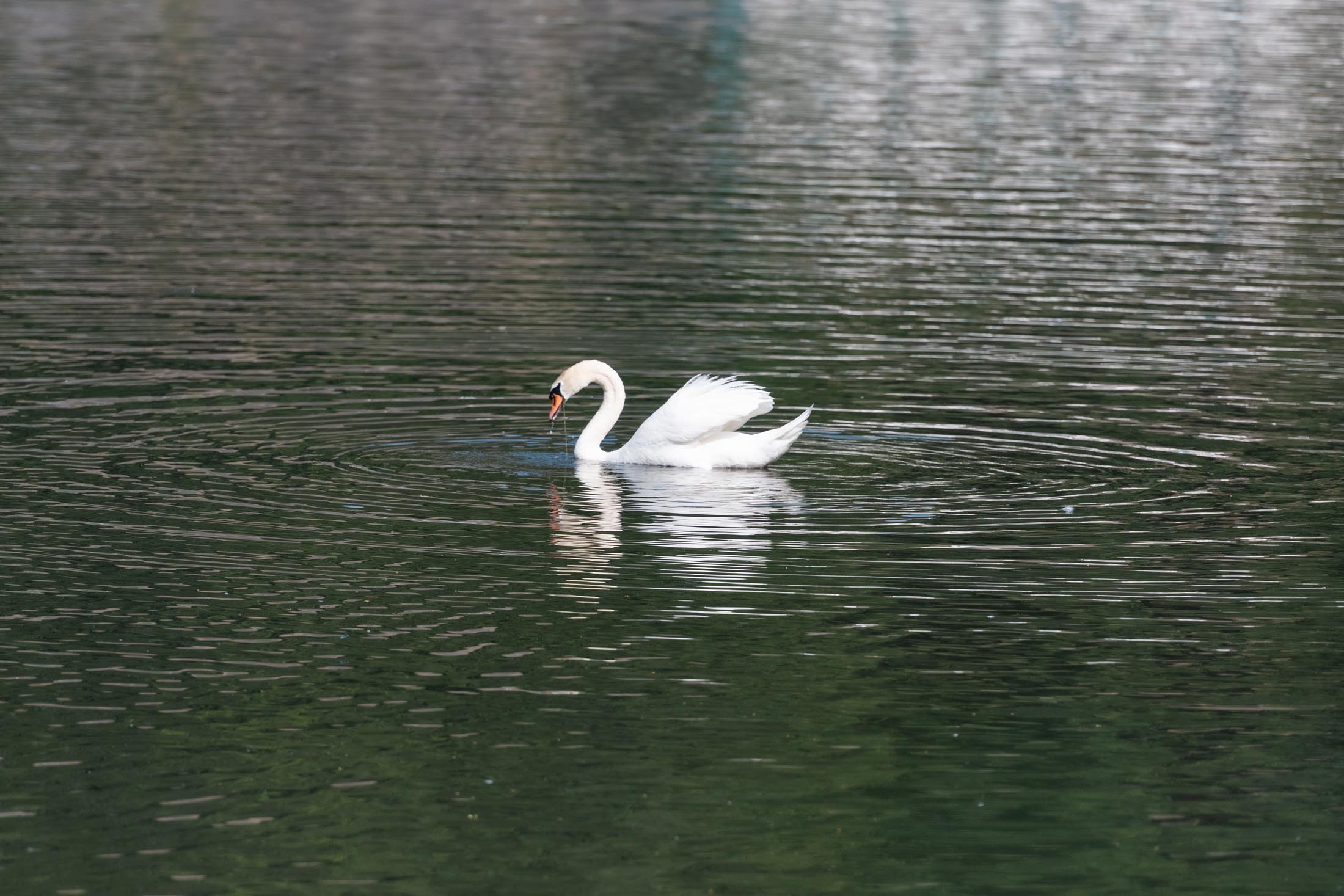 Hengsteysee Hagen