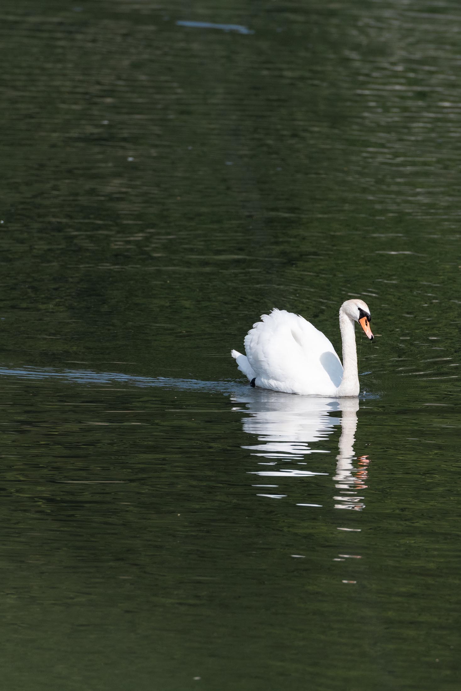 Hengsteysee Hagen