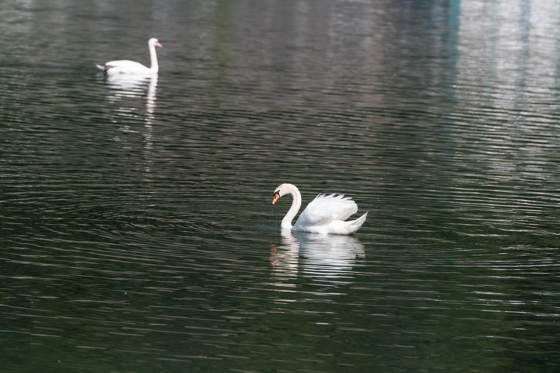 Hengsteysee Hagen