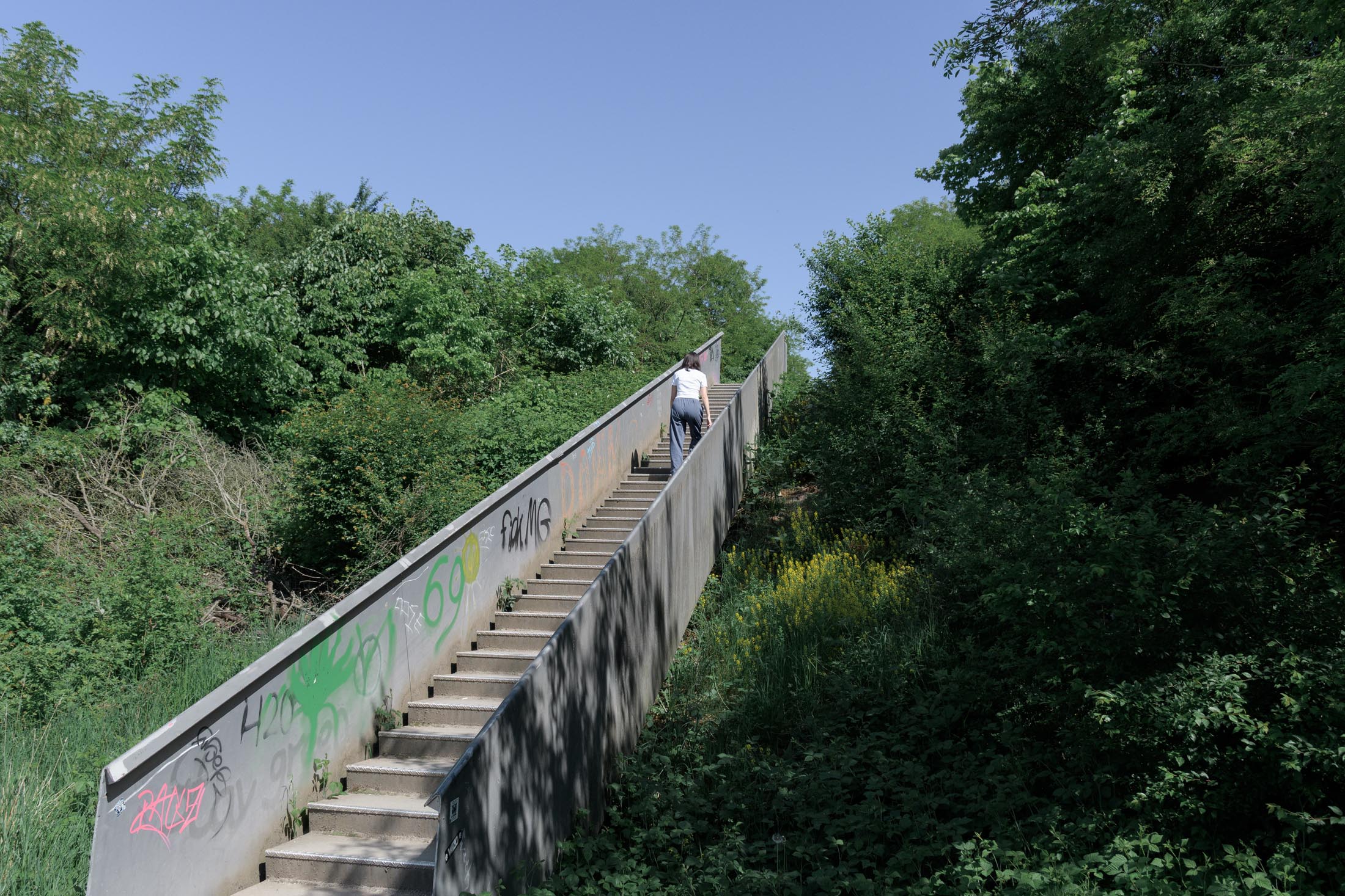 Himmelstreppe Halde