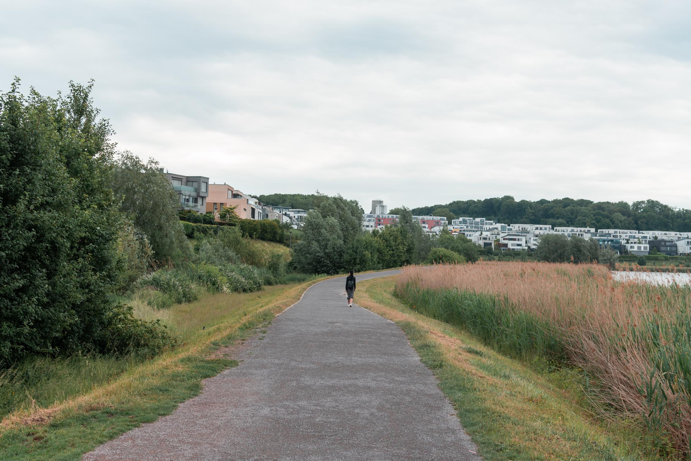 Phoenixsee Walk