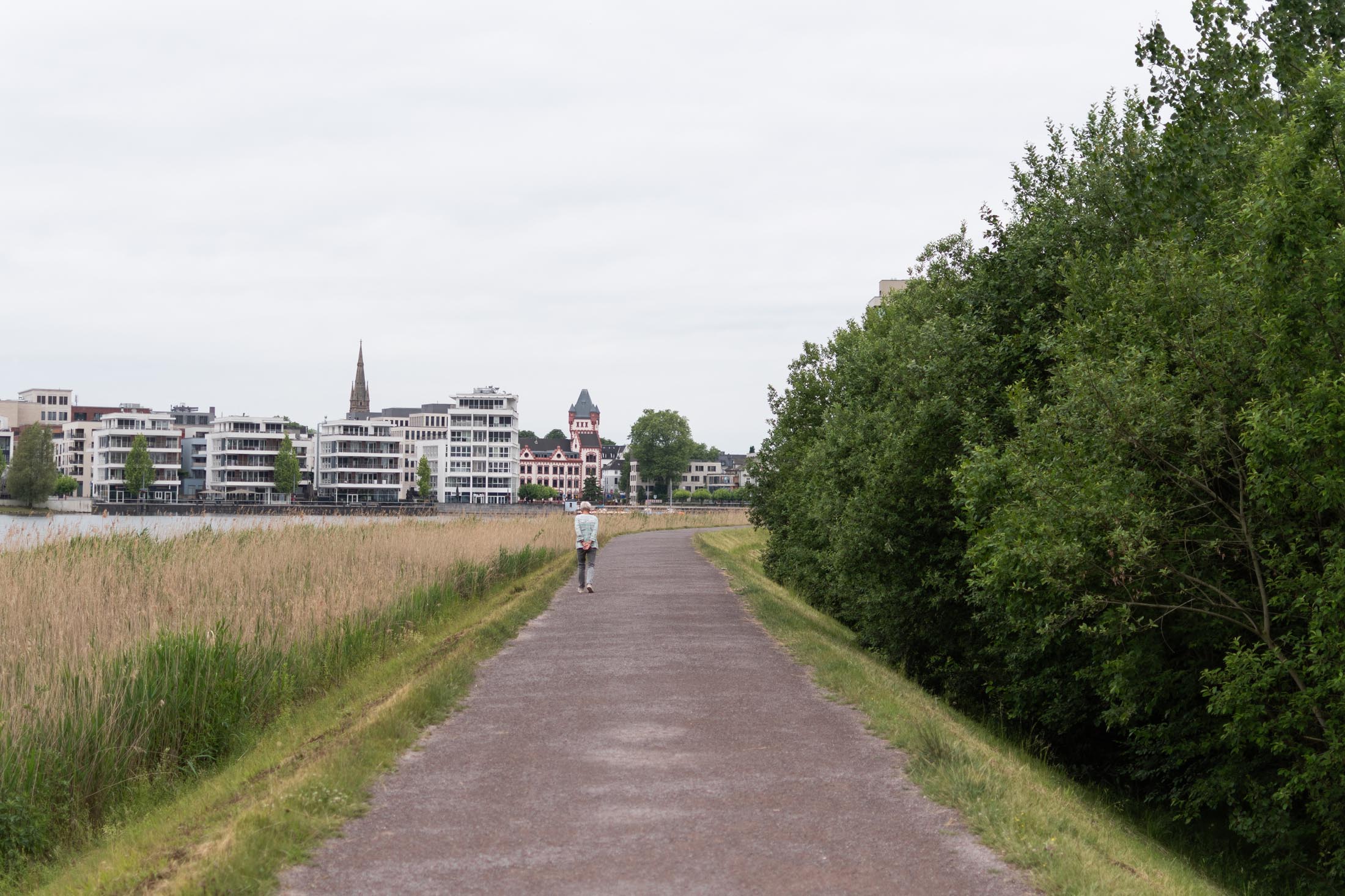 Phoenixsee Walk