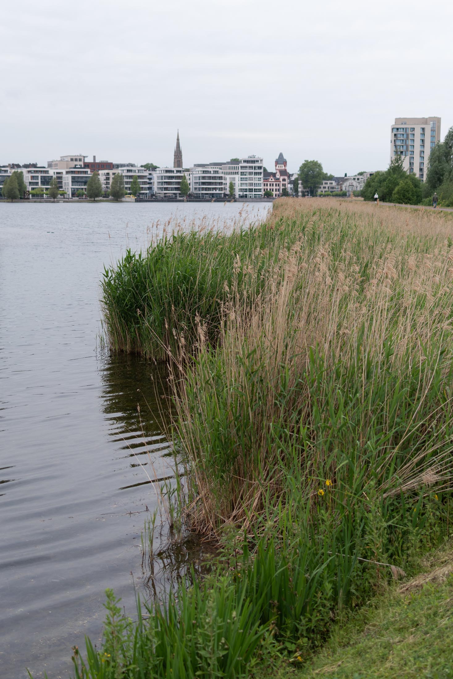 Phoenixsee Walk